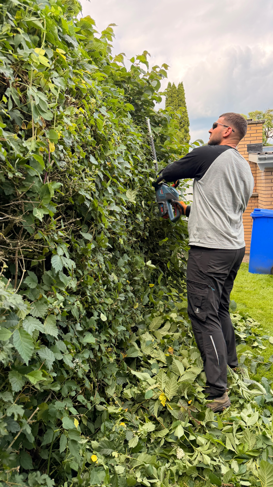 Professional hedge trimming and garden maintenance by PP Hus- og Haveservice
